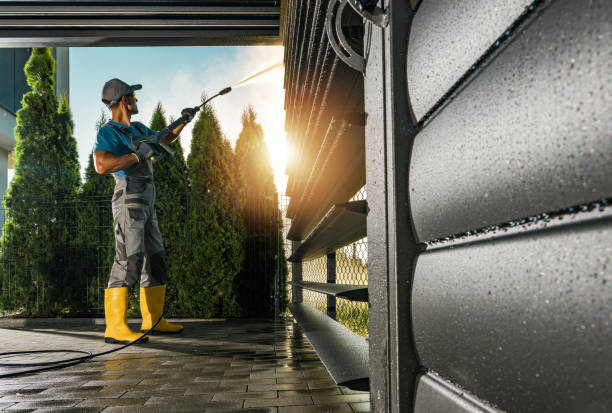 Best Driveway Pressure Washing  in Dland, MI